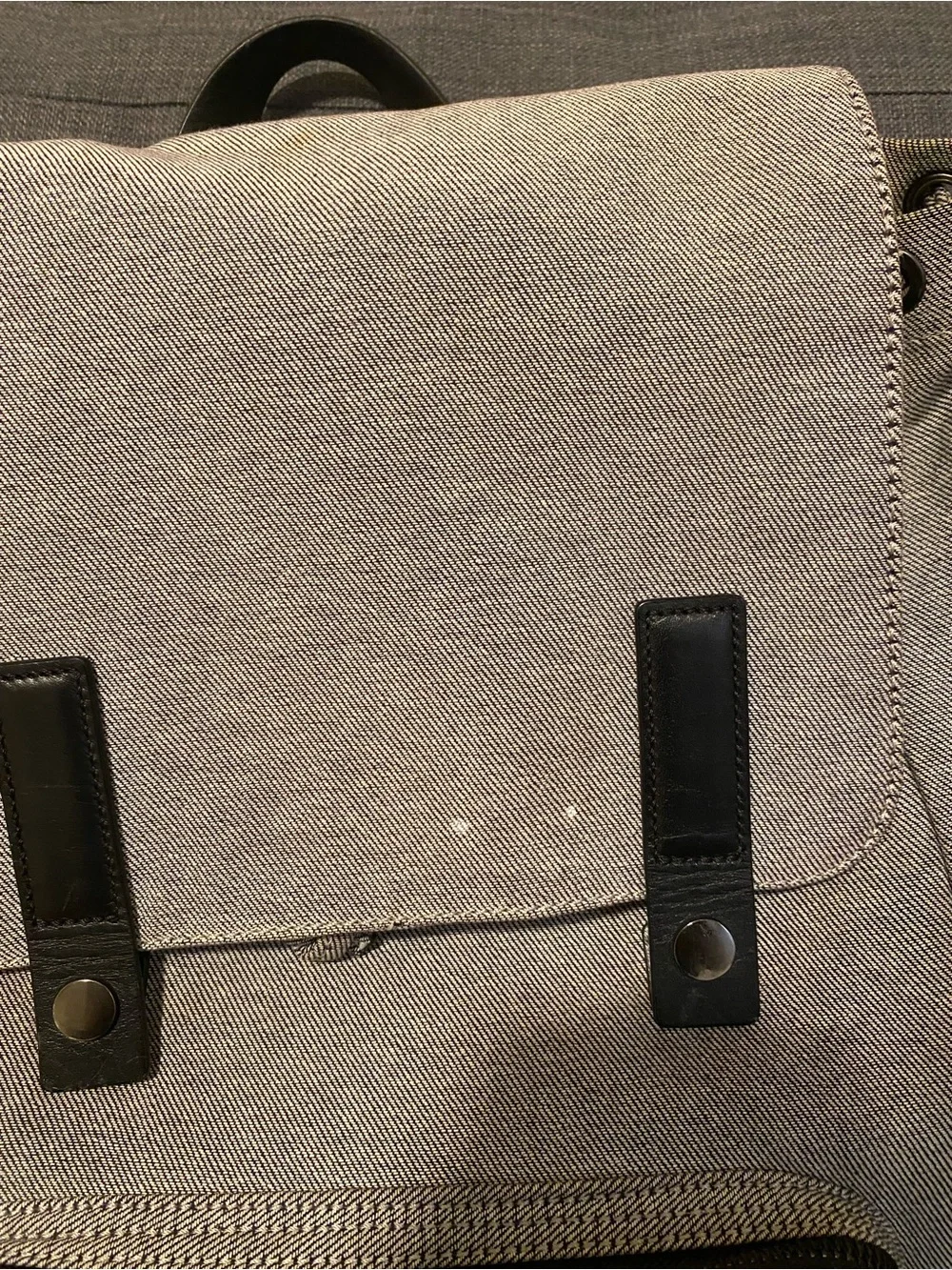 Everlane canvas backpack